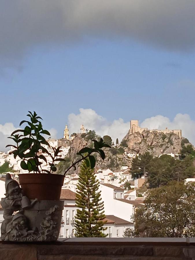 Los Girasoles Olvera Eksteriør bilde